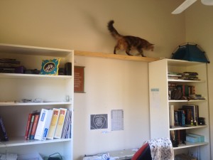 A simple task of a cheap beam of strong wood between the bookshelves means that Freddie has access to both bookshelves. She can sit in her dome and view the world outside the window.